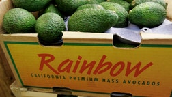 Imagine for a moment a Super Bowl without the avocado.              